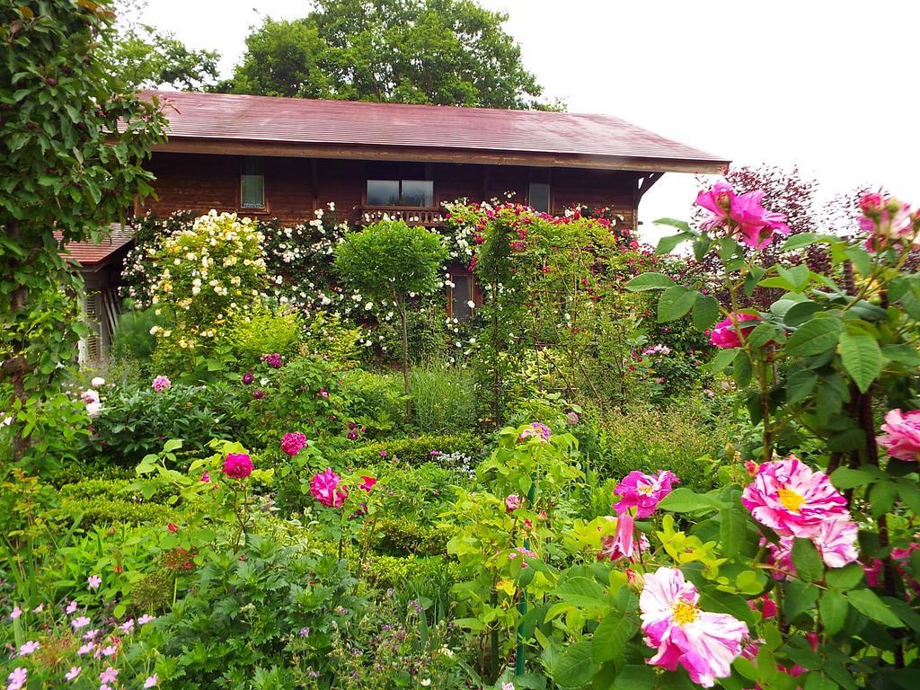 上山市苹果膳食旅馆住宿加早餐旅馆 外观 照片