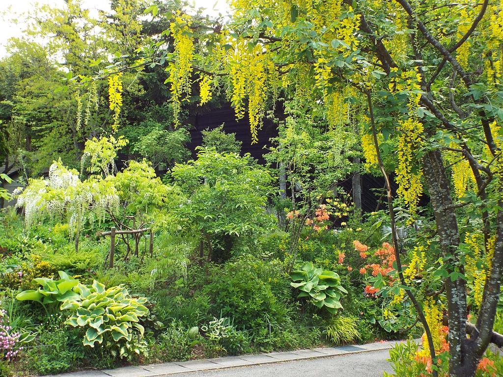 上山市苹果膳食旅馆住宿加早餐旅馆 外观 照片