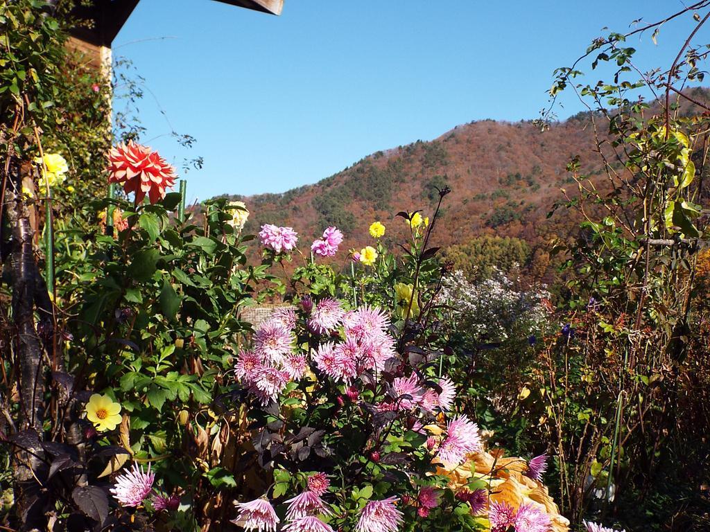 上山市苹果膳食旅馆住宿加早餐旅馆 外观 照片