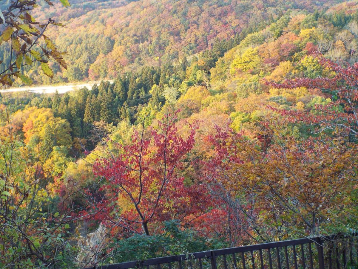 上山市苹果膳食旅馆住宿加早餐旅馆 外观 照片