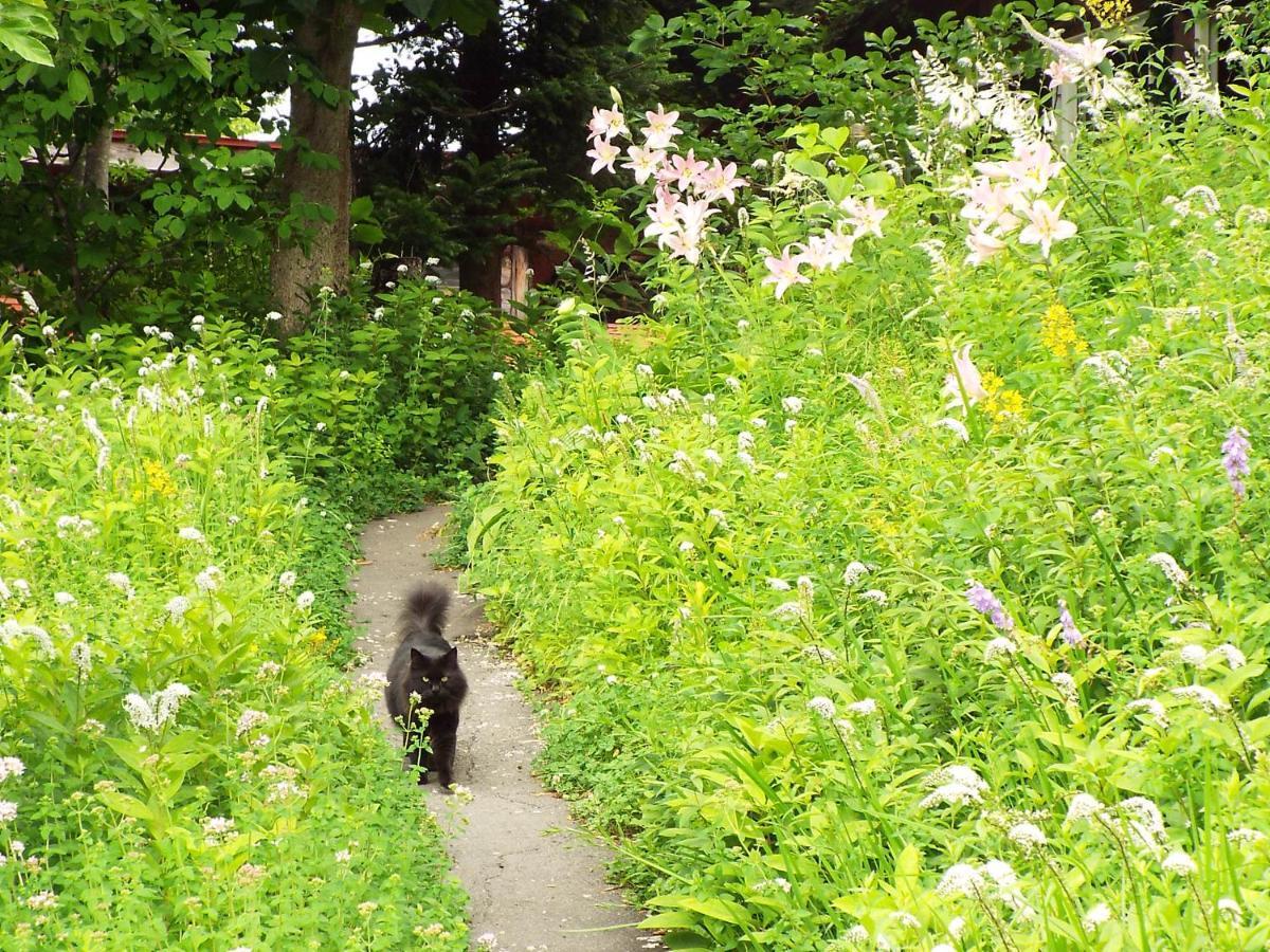 上山市苹果膳食旅馆住宿加早餐旅馆 外观 照片